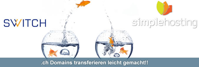 .ch Domain transferieren
